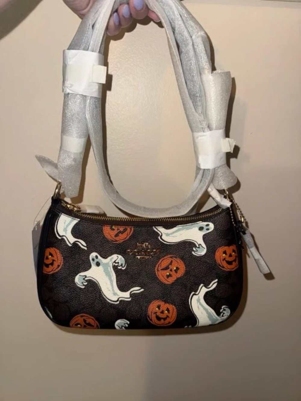 Limited Edition Coach Teri Bag Signature Canvas Halloween Ghost Pumpkin Motif